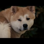 Хатико_Самый верный друг_Hachiko_A Dog's Story
