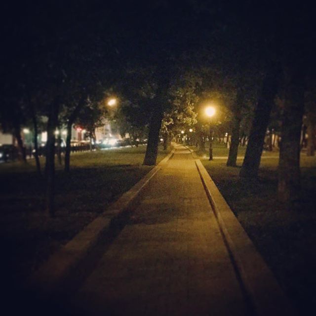 Вечерняя прогулка